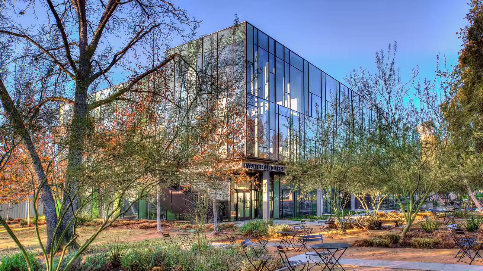 Caltech CS Background